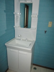 独立洗面台・室内洗濯機置場