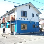 スカイコーポ 202